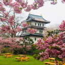 สมาชิกหมายเลข 1385787