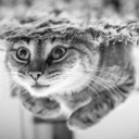 รู้สึกว่ากำลังจะรวย