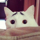 สมาชิกหมายเลข 4810057