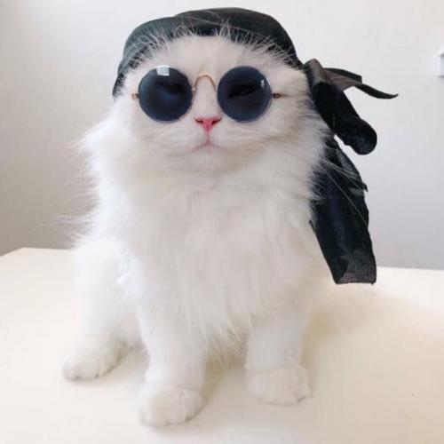 สมาชิกหมายเลข 1782660