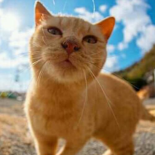 สมาชิกหมายเลข 5191582