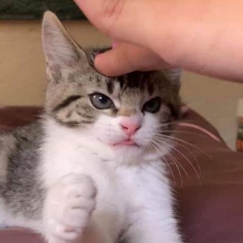 สมาชิกหมายเลข 2257191