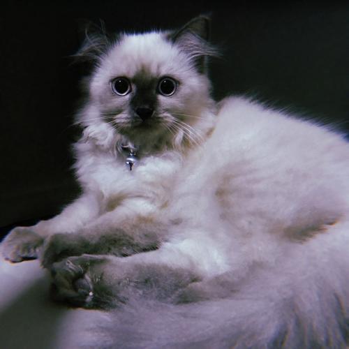 สมาชิกหมายเลข 2437943