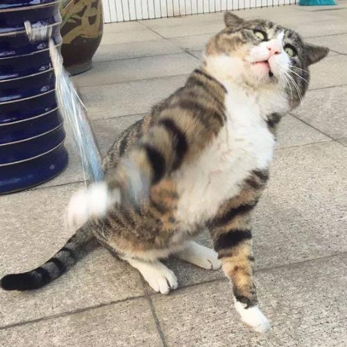 สมาชิกหมายเลข 3973812