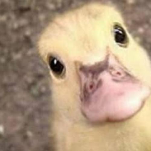 สมาชิกหมายเลข 5614158