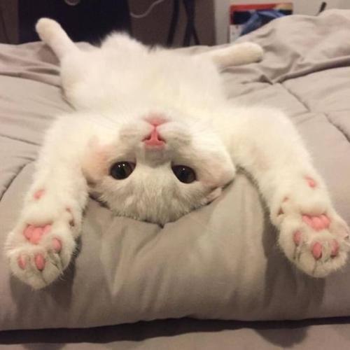 สมาชิกหมายเลข 5614311