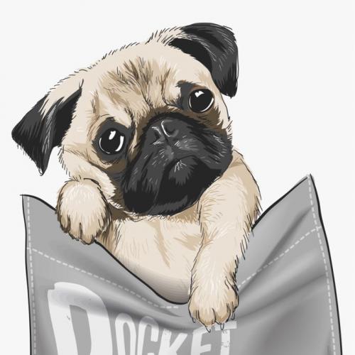 สมาชิกหมายเลข 6181515