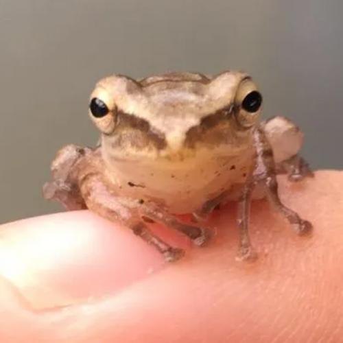 สมาชิกหมายเลข 6573406