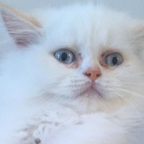 สมาชิกหมายเลข 6699223