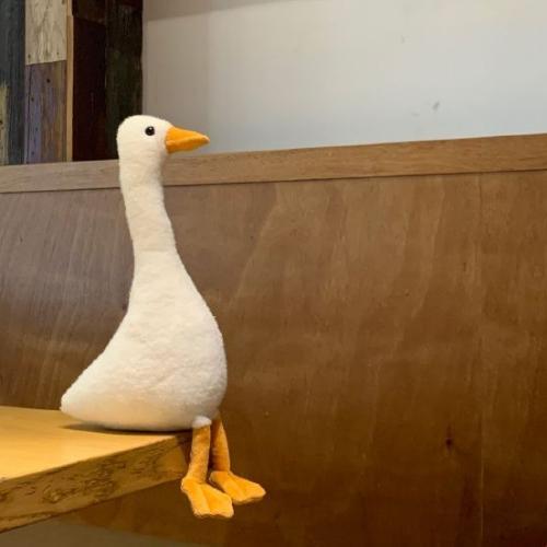 สมาชิกหมายเลข 6820254