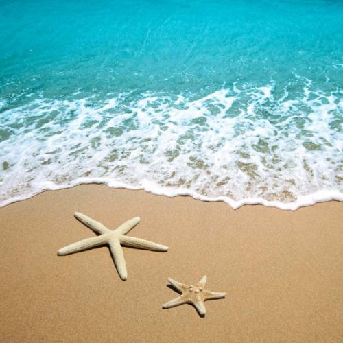 สมาชิกหมายเลข 6469962