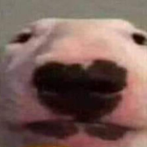 สมาชิกหมายเลข 4403404