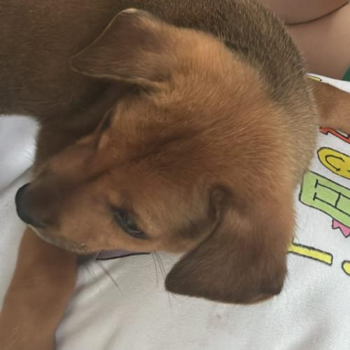 สมาชิกหมายเลข 7148424