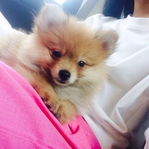 สมาชิกหมายเลข 4484478