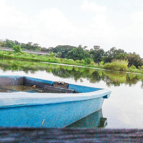 สมาชิกหมายเลข 3904409