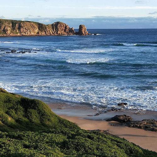 สมาชิกหมายเลข 4688321