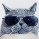 โอนิโอนิโอนิ