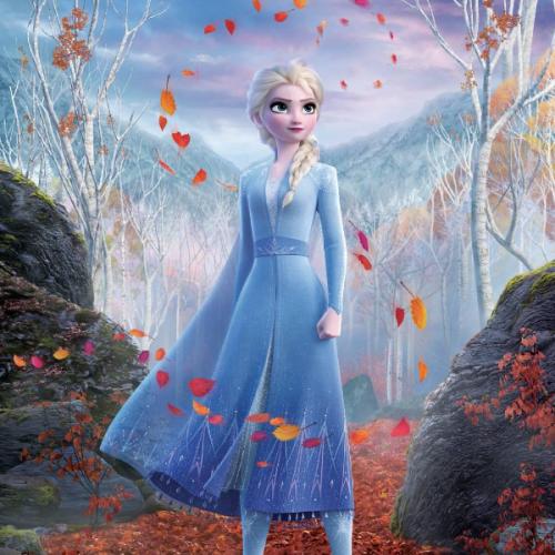 the cold never bother me