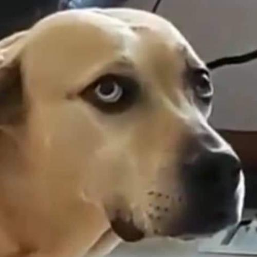 สมาชิกหมายเลข 2982221