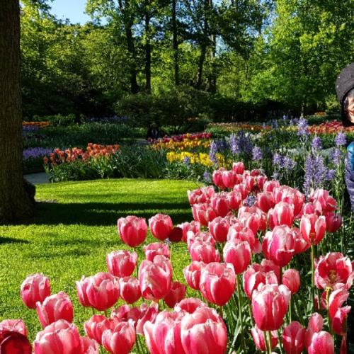 สมาชิกหมายเลข 4188417