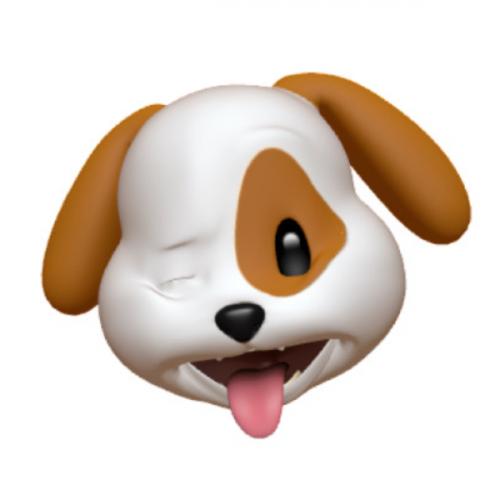 สมาชิกหมายเลข 6136104