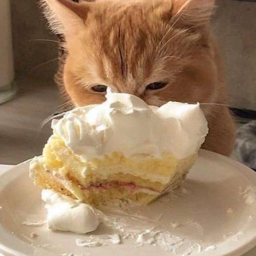 สมาชิกหมายเลข 6692315