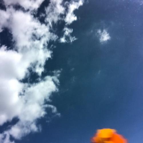 สมาชิกหมายเลข 4637091