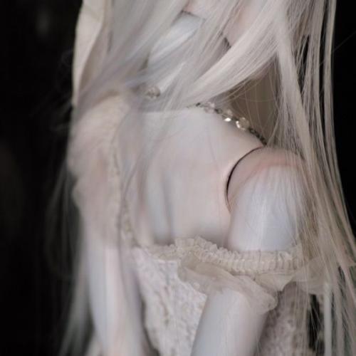 สมาชิกหมายเลข 8447134