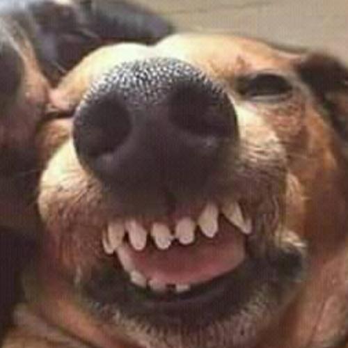 สมาชิกหมายเลข 8515111