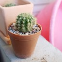 สมาชิกหมายเลข 4020852