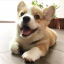 สมาชิกหมายเลข 4022653