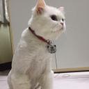 ลมหายใจของเธอ