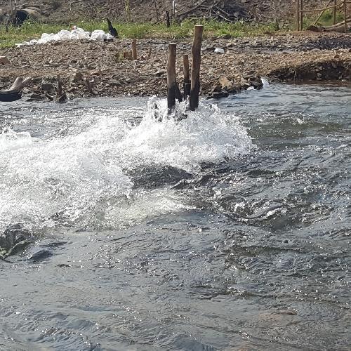 สมาชิกหมายเลข 4453061