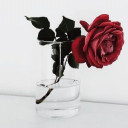 สมาชิกหมายเลข 4480507