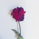 สมาชิกหมายเลข 4485753