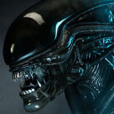 สมาชิกหมายเลข 3389600