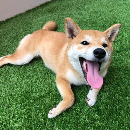 สมาชิกหมายเลข 3571552