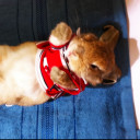 สมาชิกหมายเลข 5202343