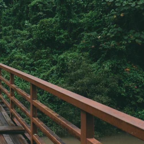 สมาชิกหมายเลข 2553029