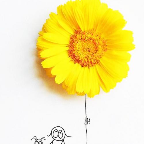 สมาชิกหมายเลข 5490044