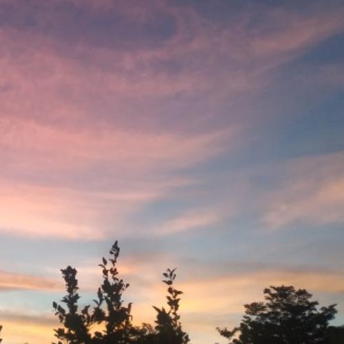 สมาชิกหมายเลข 5614945