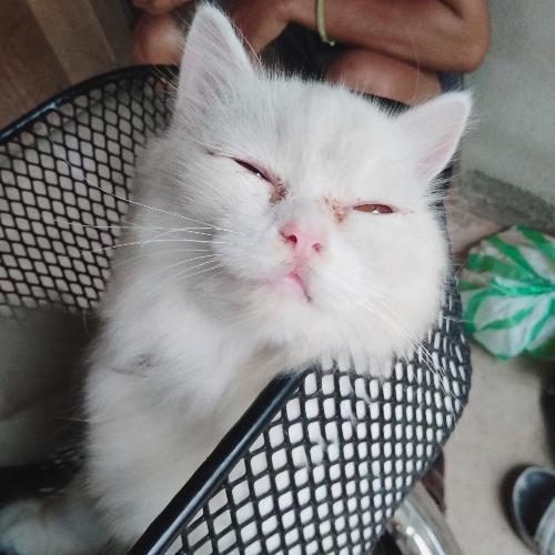 สมาชิกหมายเลข 5615172