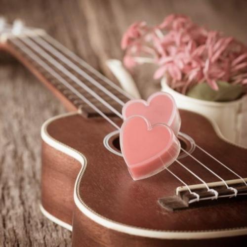 สมาชิกหมายเลข 5787737