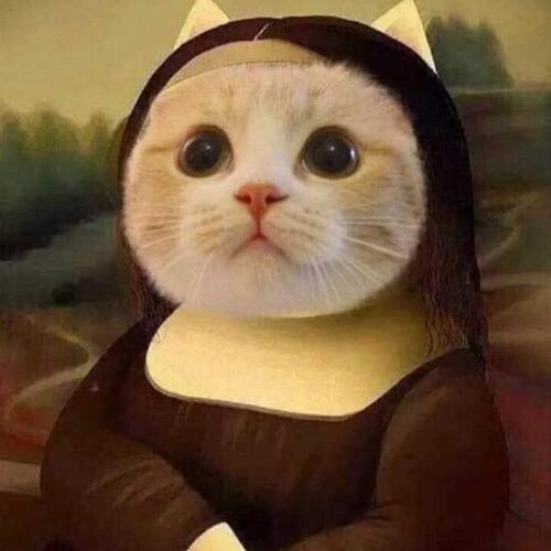 สมาชิกหมายเลข 6119238