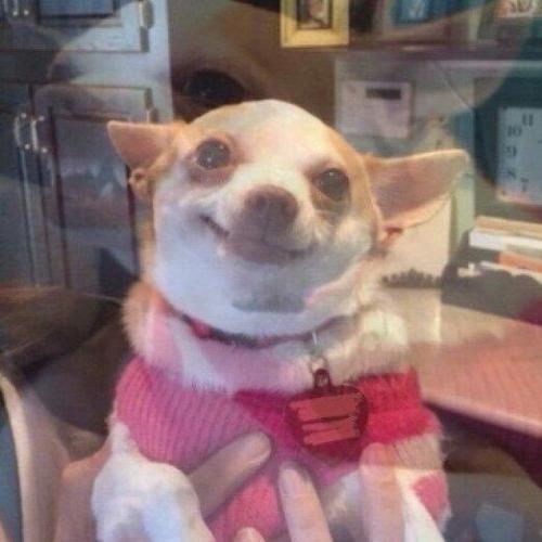 สมาชิกหมายเลข 6182741