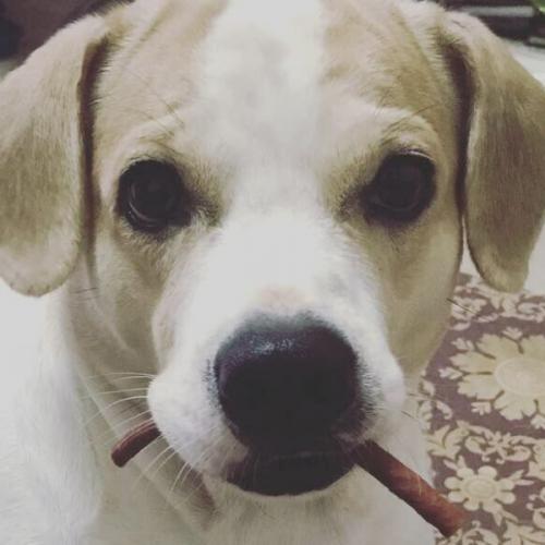 สมาชิกหมายเลข 3102075