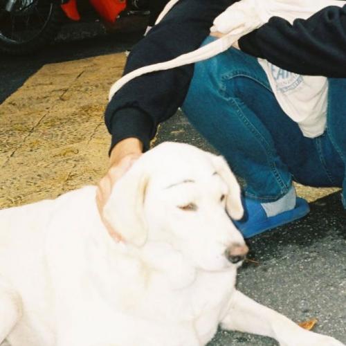 สมาชิกหมายเลข 7220356