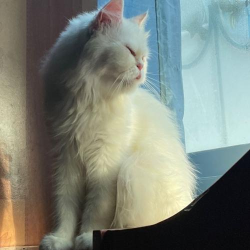 สมาชิกหมายเลข 7590773