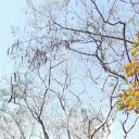 สมาชิกหมายเลข 810811