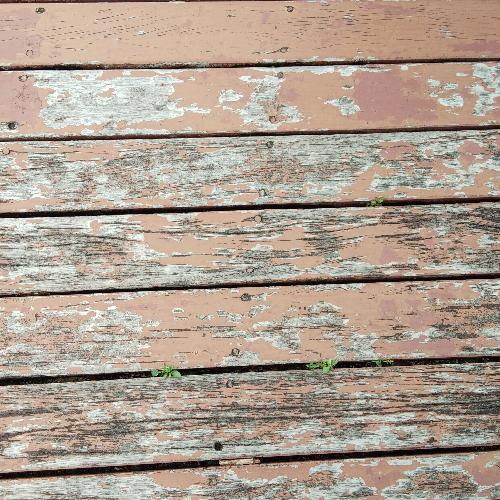 สมาชิกหมายเลข 2421705